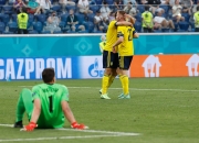 米兰APP下载-瑞典队险胜波兰队，奥恰洛夫高光表现的简单介绍