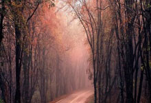 米兰体育官网-德甲争冠战之夜，金玟哉稳定输出不掉线，拜仁防线上的亚洲磐石